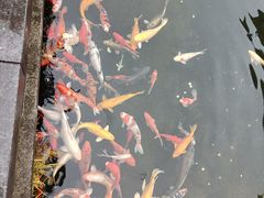 -清漾毛氏文化村