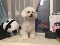 -面包与我Bread Or Me(长城汇店)