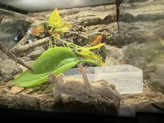 -太平洋海底世界