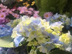 -上街里市集(悦喜客来广场店)