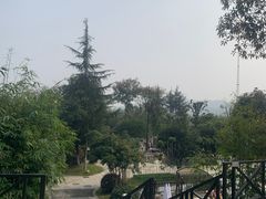 -三江森林温泉度假区