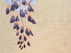 -呼和浩特博物馆