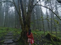 -硗碛藏寨·神木垒景区