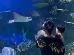 -华夏文旅海洋公园