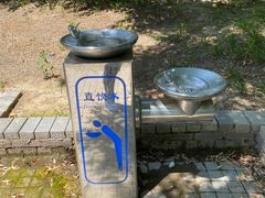 -大兴滨河森林公园