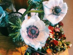 -杭州街角花屋花店(闻堰店)