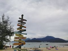-花海间·即刻露营
