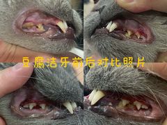 -悠尼宠物·独立低压伊珊娜洗护·美容·寄养(兰谷路店)