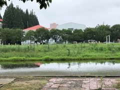 -同济大学(沪西校区)