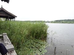 -江苏三台山国家森林公园