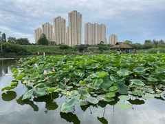 -前关湿地公园