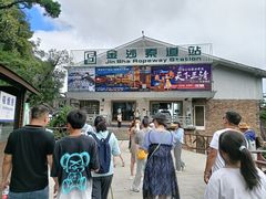 -菜当家