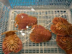 -拉完海鲜大排档(温岭店)