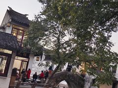 -周庄古镇景区-双桥