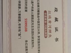 -阿五黄河大鲤鱼(英协路店)