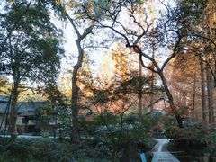 -杭州植物园