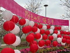 -盈香心动乐园