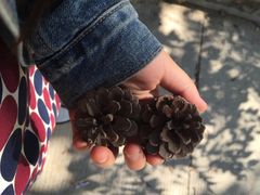 -三清洞摩西韩式年糕火锅(威高广场店)