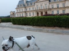 -北京拉斐特城堡酒店