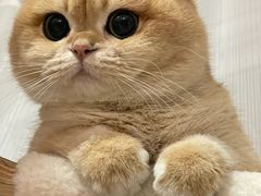 -荔康动物医院(康王北路店)