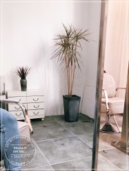 -Moyue HAIR SALON