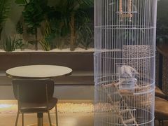 -ChitChat奇洽·Bistro(黎黄陂路店)