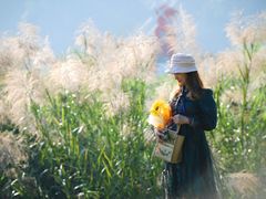 -广西壮族自治区药用植物园