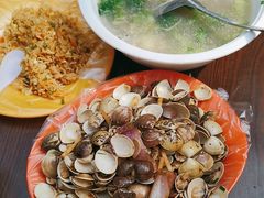 -红树林天天赶海