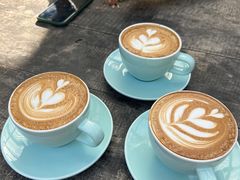 -MOJ coffee(瓯海泽雅水碓坑店)