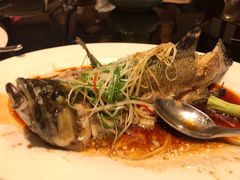 -紫阳海鲜楼·传承闽味(长乐路总店)