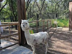 -南戴河国际娱乐中心