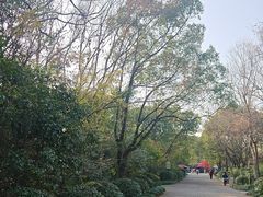 -上海海湾国家森林公园