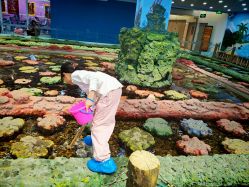 -钓虾工场·钓虾·赶海(回龙观店)