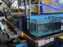 -荔城生鲜盛宴(番禺旗舰店)