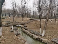 -西安浐灞国家湿地公园