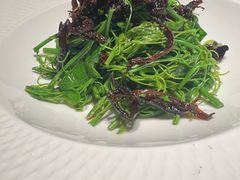 -凤凰湘语(浦东旗舰店)