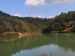 -广州白江湖森林公园