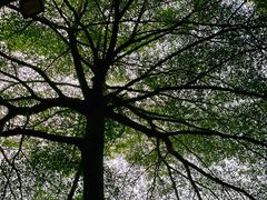 -东寨港红树林旅游区