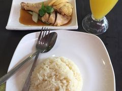 海南鸡饭-五星海南鸡饭餐馆(东海岸路店)