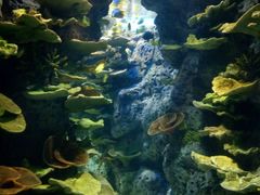 -福州罗源湾海洋世界旅游区