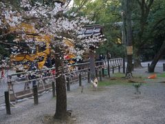 -热田神宫