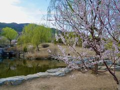 -北京西山国家森林公园