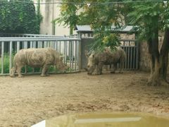 -辛玛王国游乐园