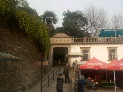 -上海佘山国家森林公园西佘山园