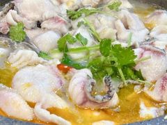 -大鼎石锅鱼(春江里店)