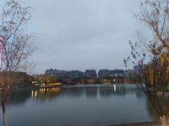 -天鹅湖体育公园