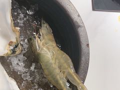 -椰子湾·海南火锅·糟粕醋·椰子鸡(正大广场店)