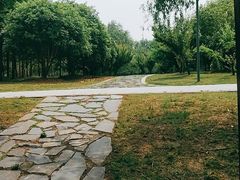 -同里国家湿地公园