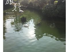 -九龙公园