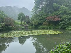 -中国茶叶博物馆(双峰馆区)